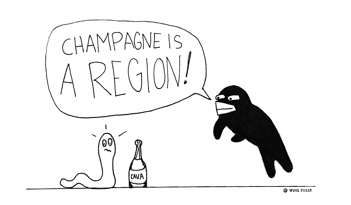 champagne-is-a-region-winefolly-comic-illustration.jpg