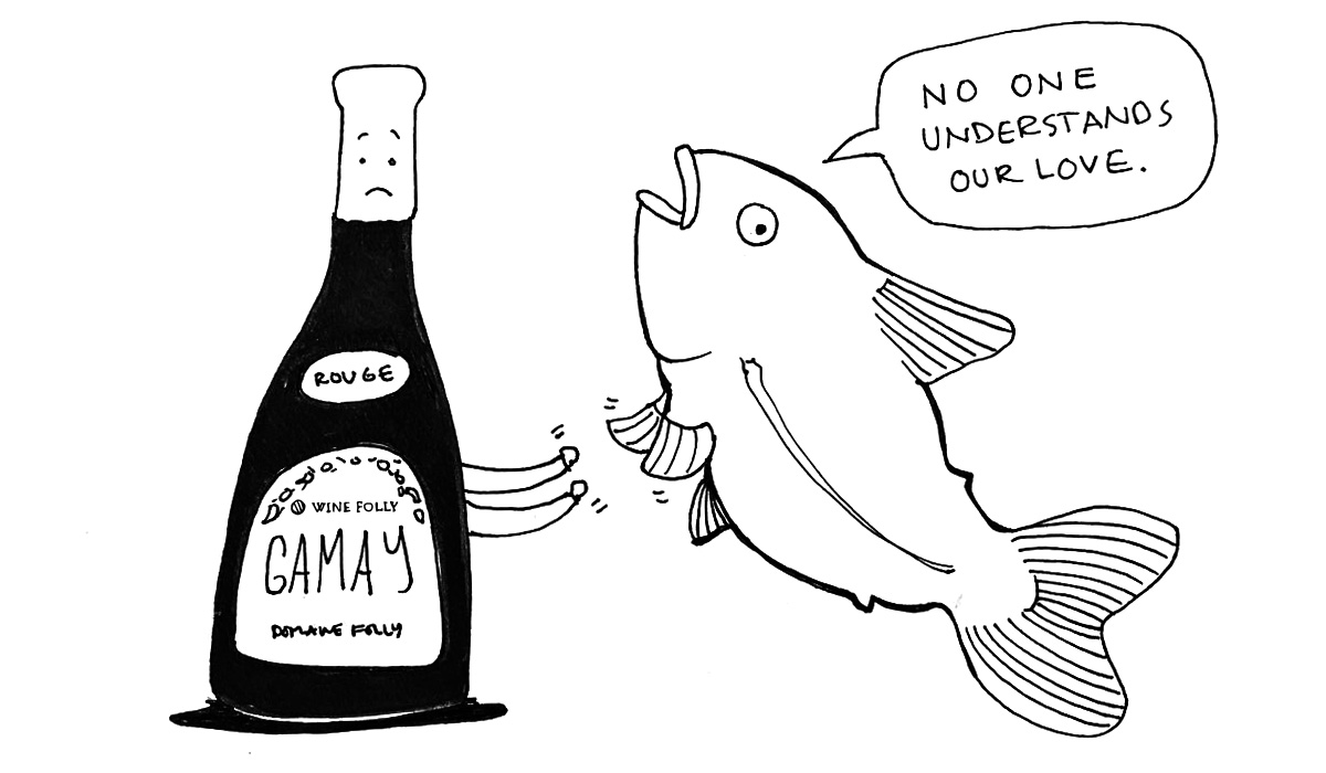 red-wine-and-fish-illustration-comic-winefolly.jpg
